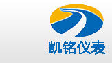 金湖91成人看片在线下载仪表有限公司LOGO